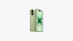 Apple iPhone 17 Verde-sálvia 256GB Intecstore